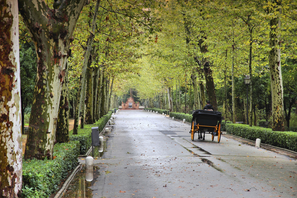 Parque de María Luisa