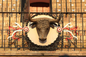 Detalle Plaza de toros de la Maestranza