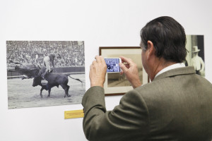 Exposición Miura y Sevilla