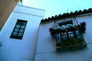 callejon juderia barrio santa cruz sevilla