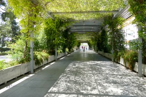 pergola cristina sevilla