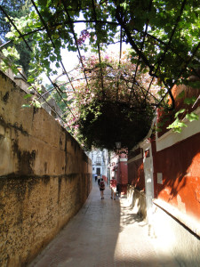 La muralla del Real Alcázar en la Calle del Agua