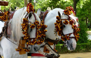 enganche caballos sevilla