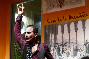 espectaculo flamenco casa memoria sevilla