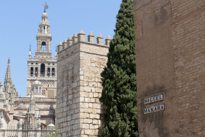 giralda catedral alcazar sevilla