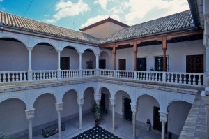 patio palacio manara sevilla