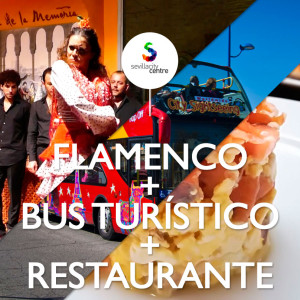 flamenco casa memoria bus turistico city sightseeing restaurante taberna alabardero sevilla