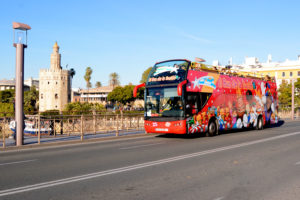 bus ilusion sevilla