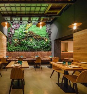 mamarracha sevilla jardin vertical