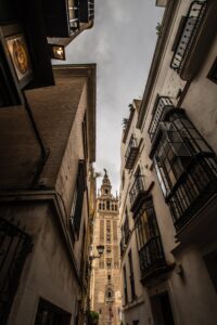 fotografia ganadora sevillajpg 2020 fernando gonzalez