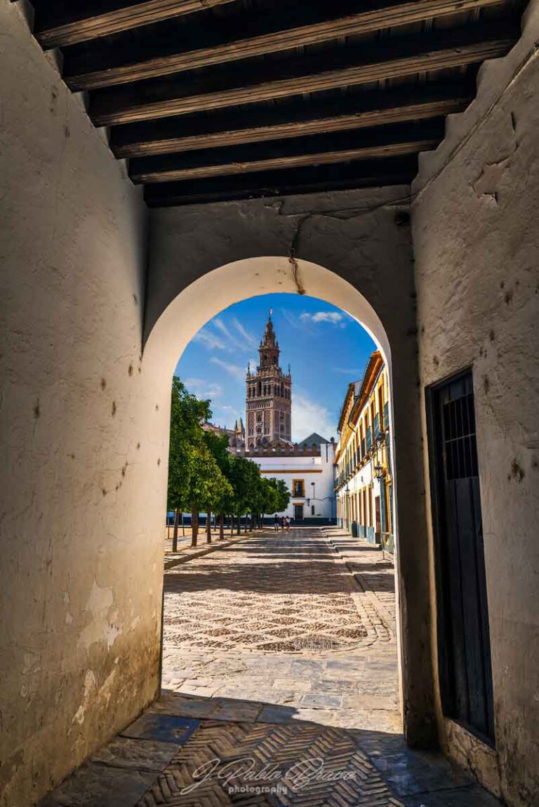 Fotografía de José Pablo Bravo Rodríguez para el concurso SevillaJPG.